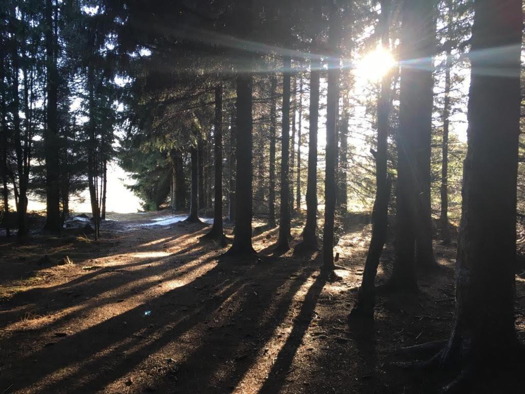 Apartmany Forest Kovářská Exterior foto